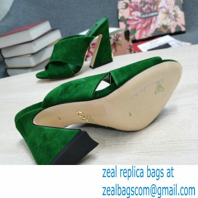 Dolce  &  Gabbana Heel 11cm Mules Suede Green with Geometric Heel 2022